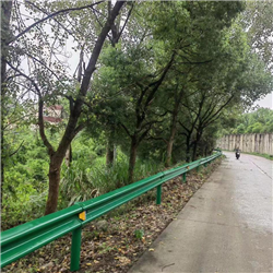 波形護(hù)欄安裝工程