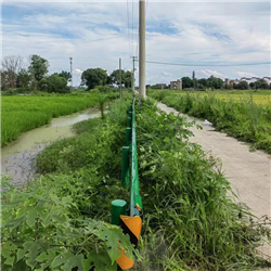 波形護(hù)欄安裝工程