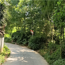 標(biāo)牌安裝工程