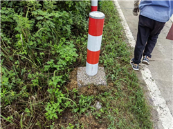 波形護欄安裝工程