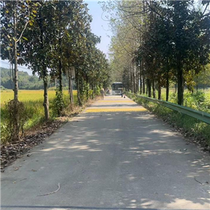 道路標(biāo)線工程